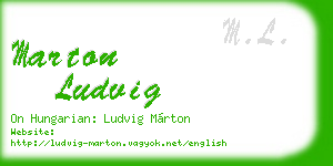 marton ludvig business card